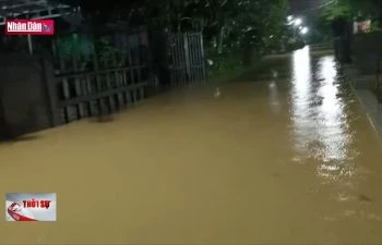 Mưa lớn trong đêm, hơn 800 hộ dân bị ngập lụt