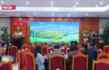 Xã hội hoá trồng rừng - Vì một Việt Nam xanh hơn