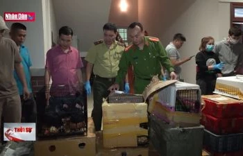 Nghệ An: Bắt vụ vận chuyển trái phép động vật hoang dã số lượng lớn