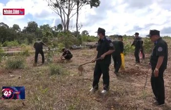Kiên Giang tăng cường chống chặt phá rừng