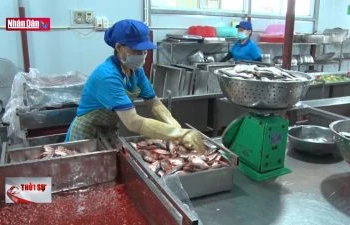 Cá mòi kho Kiến Thụy vươn ra thị trường quốc tế