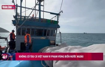 Không có tàu cá Việt Nam vi phạm vùng biển nước ngoài