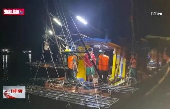 Chấm dứt triệt để tàu cá Việt Nam khai thác trái phép