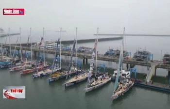 Đoàn đua thuyền Clipper Race trình diễn tại Vịnh Hạ Long
