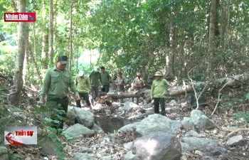 Kon Tum: Nhức nhối tình trạng "chảy máu" lực lượng giữ rừng
