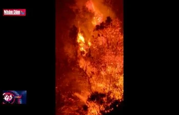 Hai kiểm lâm tử nạn khi chữa cháy rừng đặc dụng Tây Côn Lĩnh