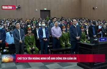 Chủ tịch Tân Hoàng Minh Đỗ Anh Dũng xin giảm án