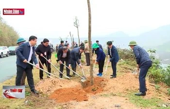 Tuyên Quang: Cán đích trước 1 năm đề án trồng 1 tỷ cây xanh