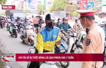 499 tài xế bị tước bằng lái qua VNeID sau 1 tuần