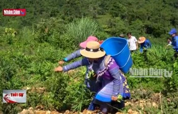 Khó duy trì thu nhập tại các xã nông thôn mới vùng cao