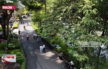 TP Hồ Chí Minh: Đề xuất sử dụng flycam kiểm tra cây xanh