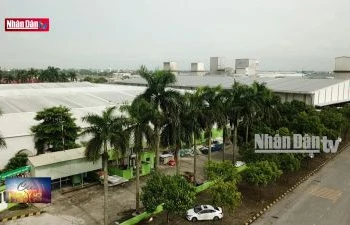 Khu công nghiệp sinh thái - hướng phát triển bền vững