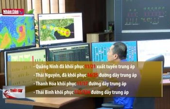 Tập trung khắc phục lưới điện sau khi bão số 3 đi qua