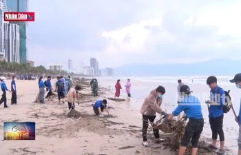 Thanh niên Đà Nẵng xung kích vì cộng đồng