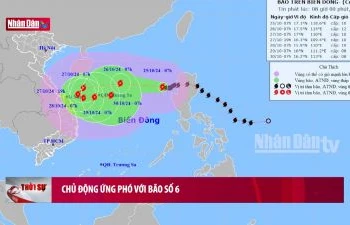 Chủ động ứng phó bão với bão số 6