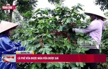 Cà phê vừa được mùa vừa được giá