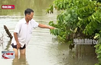 Kon Tum: Thủy điện tích nước gây ngập úng sạt lở đất của các hộ dân