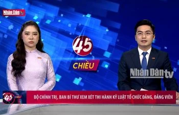 Bộ Chính trị, Ban Bí thư xem xét thi hành kỷ luật tổ chức Đảng, Đảng viên