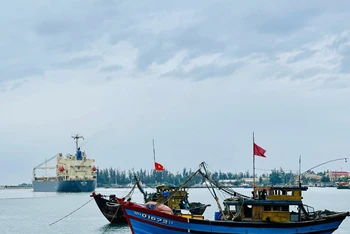 Phát triển kinh tế biển ở Quảng Nam tuân thủ các quy định chống khai thác IUU 