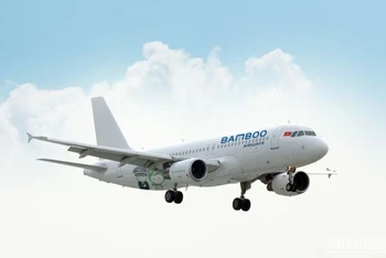 Ngày 8/1, máy bay A320 mới của Bamboo Airways đã hạ cánh tại sân bay Tân Sơn Nhất nhằm phục vụ cao điểm Tết Nguyên đán.