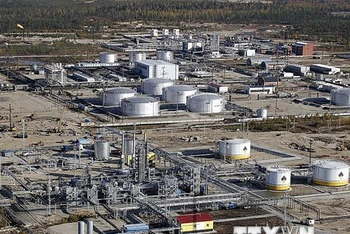 Nhà máy lọc dầu Rosneft của Nga ở Gubkinsky, Siberia. (Ảnh: AFP/TTXVN)