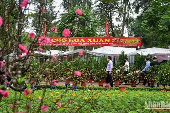 Một chợ hoa xuân tại Hà Nội. (Ảnh: THÀNH ĐẠT)