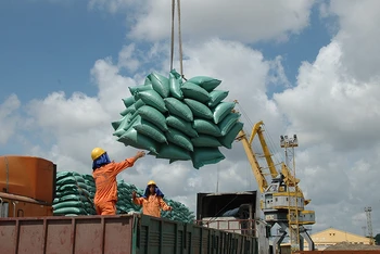 Xuất khẩu gạo có nhiều tín hiệu vui.