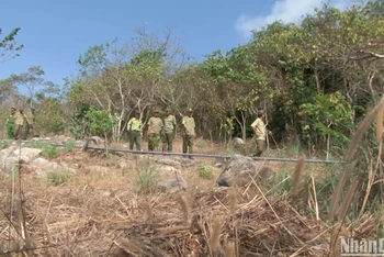 Lực lượng chức năng tỉnh An Giang kiểm tra phòng, chống cháy rừng trên khu vực núi Cấm.
