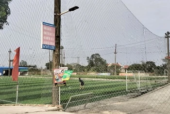 Sân bóng đá cỏ nhân tạo ngang nhiên "mọc" trên hành lang đê Ninh Cơ, thị trấn Liễu Đề, huyện Nghĩa Hưng (Nam Định).