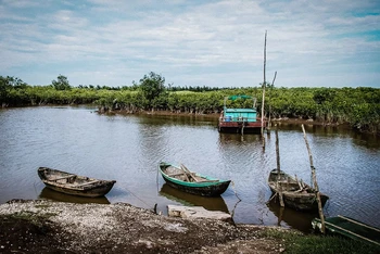 Vườn quốc gia Xuân Thủy, xã Giao Thiện, huyện Giao Thủy (Nam Định), nơi xảy ra sự việc đau lòng.