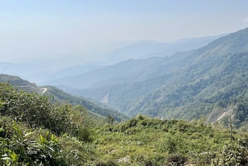 Một khu vực rừng nhìn từ Đèo 9 km, Bắc Lào. Ảnh: Trịnh Dũng