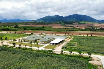 Bộ Công nghệ và Truyền thông Lào đánh giá việc sử dụng thiết bị bay không người lái sẽ góp phần phát triển ngành nông nghiệp của nước này. (Ảnh: Báo Pasaxon)