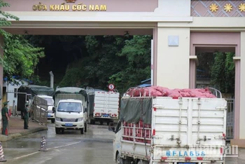 Xe chở hàng hóa xuất, nhập khẩu qua cửa khẩu Cốc Nam, Văn lãng, (Lạng Sơn).