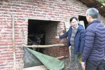 Lãnh đạo Ủy ban nhân dân huyện Lộc Bình (Lạng Sơn) kiểm tra công tác phòng, chống rét cho gia súc.