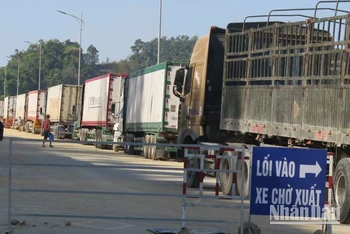 Xe chở hàng nông sản làm thủ tục thông quan qua cửa khẩu Tân Thanh, Văn Lãng (Lạng Sơn).