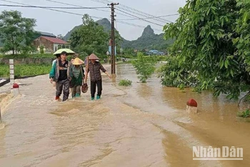 Cần đưa ra các cảnh báo thiên tai cụ thể, sát thực