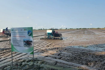 Cấy lúa bằng máy trên cánh đồng lúa chất lượng cao tại lễ khởi động.