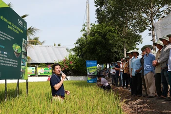 Nhà khoa học và nhà nông tham quan mô hình canh tác lúa thông minh.