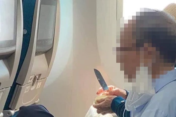 Vợ chồng hành khách lớn tuổi mang dao lên máy bay gọt hoa quả.