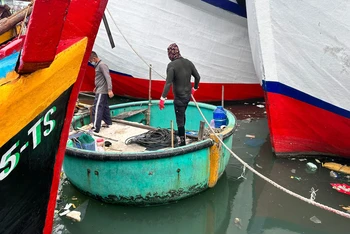 Thợ lặn tìm kiếm người đàn ông bị mất tích tại Cảng cá Phan Thiết nghi do bị rơi xuống nước. 