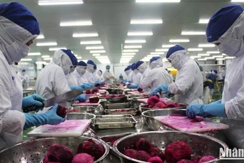 Công nhân một dây chuyền sản xuất của Công ty Lavi Food, Bến Lức, Long An. (Ảnh: THANH PHONG)