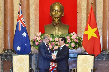 Chủ tịch nước Võ Văn Thưởng và Thủ tướng Australia Anthony Albanese tại buổi tiếp.