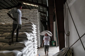 Công nhân kiểm kê gạo bên trong nhà kho dự trữ của chính phủ tại tỉnh Bulacan, Philippines. (Ảnh: Bloomberg)