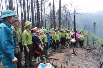 Chi cục Kiểm lâm tỉnh Hà Giang ra quân trồng rừng trên đỉnh Tây Côn Lĩnh.