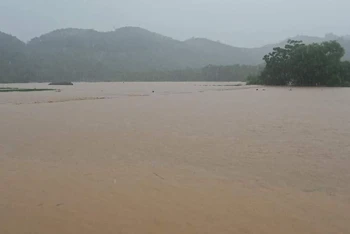 Mưa lớn gây ngập úng nhiều diện tích hoa màu tại huyện Quang Bình.