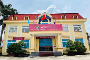 Phòng giao dịch Agribank Thăng Long, xã Thăng Long, huyện Đông Hưng (tỉnh Thái Bình), nơi đối tượng Kiên xông vào cướp ngân hàng.