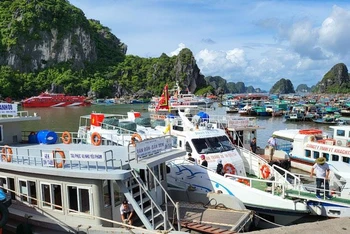 Các phương tiện thủy trở về neo đậu an toàn tại Cảng Cái Rồng, huyện Vân Đồn, tỉnh Quảng Ninh.