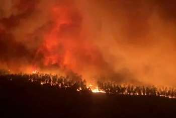 Hình ảnh vụ cháy rừng. (Nguồn: Reuters)