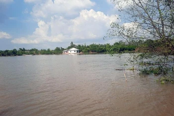 Khu vực sạt lở bờ sông Cổ Chiên làm 12 căn nhà rơi xuống sông được ban bố tình huống khẩn cấp mức độ nguy hiểm. 