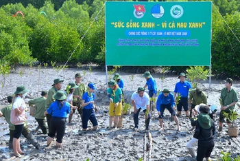 Đoàn viên, thanh niên ra quân trồng 3.000 cây rừng tại khu du lịch Mũi Cà Mau.